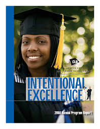 2008 Annual Program Report