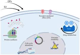 Malathion is only used outdoors or in the areas where your pet plays, rests, and lives. Signs Of Carcinogenicity Induced By Parathion Malathion And Estrogen In Human Breast Epithelial Cells Review