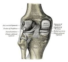 This usually causes some instability in your knee joint. Medial Collateral Ligament Injury Of The Knee Physiopedia