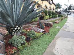 We did not find results for: After 3 Months Ruschia Lineolata Nana Or Dwarf Carpet Of Stars Is Completely Full And No More Mo Water Wise Landscaping Hillside Landscaping Home Landscaping