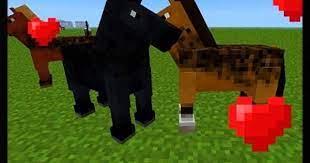 You can find them occasionally in chests around the. Minecraft Horses Love To Show Affection Sooooo Sweet Minecraft Horse Horse Love Minecraft