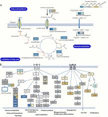 Since publication of the previous edition of this benchmark text, numerous types of this authoritative volume offers a complete background related to growth of animal cells in culture. Comparative Proteomic Phenotyping Of Cell Lines And Primary Cells To Assess Preservation Of Cell Type Specific Functions Molecular Cellular Proteomics