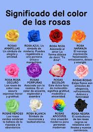 Image result for Rosa