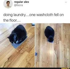 I Had A New Flag Made For Barntopia Because It S The Truth A Hellenhighwater To Those Who Have Asked If They Can Use Thi Cat Memes Baby Animals Funny Animals