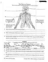 Unit one the nervous system. Worksheets On Nervous System For Grade 5 Kids Biology Worksheet Science Worksheets Free Science Worksheets