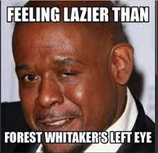 Hahahaha Just For Laughs Eyes Meme Feeling Lazy
