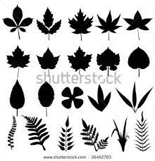 Leaf Silhouette Google Search Leaf Silhouette Flower Drawing Leaf Template