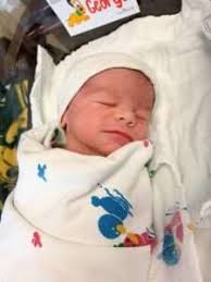 Pius X Alumni Profiles