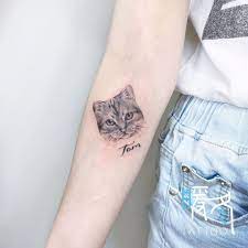 暖冬刺青vm tattoo 刺青師 amber 預約討論請加line vmtattoo 地址 台中市北屯區文心路四段999號 寵物刺青 貓咪刺青 貓刺青 c arm