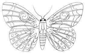 By shaylee blick 05 aug, 2021 post a comment older posts powered by blogger august 2021 (11) Malvorlage Leicht Schmetterling