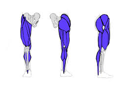 Also, i give a sculpting lecture in zbrush and timelapse video to show how i build the major shapes. How To Draw Legs The Easy Step By Step Guide With Simplified Anatomy Gvaat S Workshop