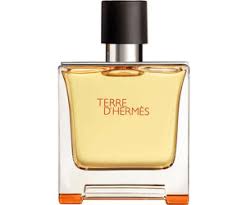 Terre d'hermès est le parfum qui relie l'homme à ses origines, aux sources de sa puissance créatrice. Hermes Terre D Hermes Eau De Parfum 200ml Ab 110 77 Februar 2021 Preise Preisvergleich Bei Idealo De