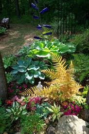 Pin By Jon Mcdaniel On Southern Gardening Shade Garden Shade Plants Shade Garden Design