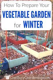 How To Prepare Your Vegetable Garden For Winter Growing Vegetables Winter Vegetables Gardening Vegetable Garden Beds