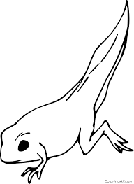 They hop into ponds the moment they develop from an egg. Tadpole With Legs Coloring Pages Coloring Pages Blog Responsible