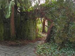 Thieles Garten Ruine Copyright Horst H Barsuhn Bremerhaven Germany Plants Tree Photo