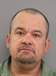 FALLS, AMONTAE C 18 BLACK M CHARGES: 720 ILCS 5.0/24-1.6-A-2 AGG  UPW/PERSON/LOADED/NO FOID OFFENSE AS CITED 720 ILCS 5.0/24-1-A-7-I UUW