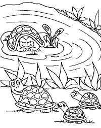 Each printable highlights a word that starts. Mother Turtle Bring Her Babies To Pond Coloring Page Coloring Sun
