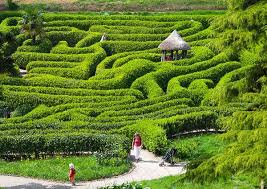 Glendurgan Garden Cornwall Gardens Of The World Famous Gardens Beautiful Gardens