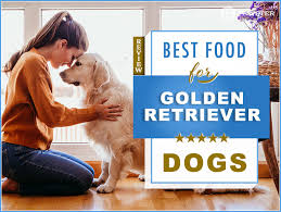 If you're searching for the best dog food for golden retriever puppy dogs, this could when choosing food for your golden retriever, look for higher protein and lower fat formulations. 8 Best Dog Foods For Golden Retrievers In 2021
