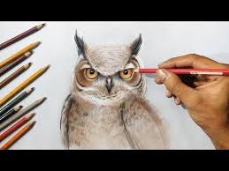 Cara mewarnai burung anti luntur : Menggambar Burung Hantu Menggunakan Pensil Warna Youtube Gambar Burung Burung Hantu Burung