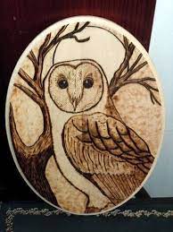 Owl wood burning by bluedaisy767 on deviantart. Barn Owl Pyrography More Art Less Craft Wood Burning Crafts Wood Burning Patterns Wood Burning Art