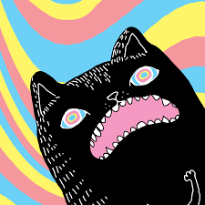 Weird Cat Gifs Get The Best Gif On Giphy