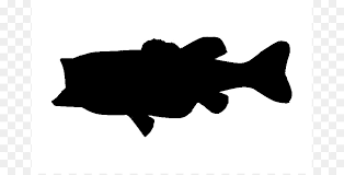 Free for commercial use no attribution required high quality images. Largemouth Bass Silhouette Bass Fishing Clip Art Bass Springen Cliparts Png Herunterladen 733 456 Kostenlos Transparent Silhouette Png Herunterladen