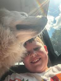 Lost Dog Stormy Girl Found and Returned Home in Superior Arizona