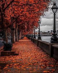 Balon Patlatma Oyunu Meyve Kesmece Apps On Google Play Herbstlandschaft Herbst Hintergrund Herbst Fotografie