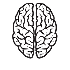 Brain Silhouette Black And White Brain Illustration Brain Vector Brain Drawing
