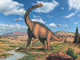 How Was Brachiosaurus Discovered?