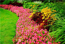 CLASS - Lake County Landscaping 101