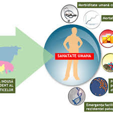 Stilul de viata este esential pentru a ne pastra creierul sanatos si in forma. Pdf Despre EvoluÈ›ia È™i ImplicaÈ›iile Fenomenului RezistenÈ›ei La Medicamentele AntiinfecÈ›ioase È™i Antiparazitare De Uz Veterinar È™i EvoluÈ›ia Acestui Fenomen In Romania About The Development And Implications Of The Drug Resistance Phenomenon