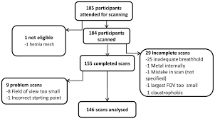 Flow Chart Of Participants Of Mri Calibration Study And