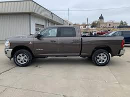 Image result for Earth Brown 2020 Ram