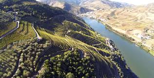 Chega de vila real diz que funcionários do governo no centro de vacinação iam tentar injetar veneno a ventura. Douro Tgv Chega A Vila Real Para Promover Aceleracao No Turismo Gastronomia E Vinho Verportugal