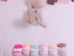 るぅと 日常さんはtwitterを使っています 選ばれたのは るぅとくんでした ᐝ https t co jgtcp6qfas twitter すとぷり 推し イラスト