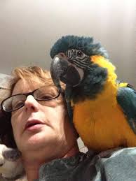 Hey please can any one in this group please help me give me the name of the  core founder of the company