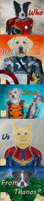 Pin On Marvellouspets Products For Dog Lovers