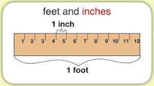 Use the calculator and charts to find the height of a five foot ten man or woman. Measurement Feet And Inches Youtube