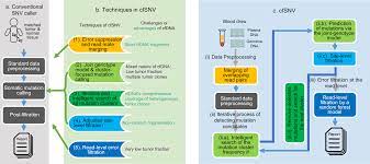 Justify your answer with evidence from model 1. Sensitive Detection Of Tumor Mutations From Blood And Its Application To Immunotherapy Prognosis Nature Communications