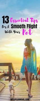 13 Essential Tips For A Smooth Flight With Your Pet My Life S A Movie Pet Travel Travel Pets