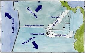 Triple Junction Plate Tectonics Triple Junction Plate Tectonics Cocos Nazca Pacific Galapagos Geology Galapagos Galapagos Islands