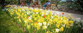 Blumen, garten, erholung, eingang, botanischer, oberes, belvedere, alpengarten. Die Schonsten Blumengarten Wiens Goodnight