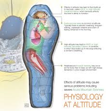 Physiology At Altitude Hiking Training Hike Adventure Hiking Trip