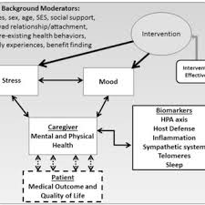 Pdf Anatomy Of An Illness Control From A Caregiver S Perspective