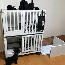 部屋全体 トイプードル スヌーピー 犬部屋 犬小屋 などのインテリア実例 2017 12 27 13 48 50 roomclip ルームクリップ 犬の部屋 犬 犬小屋