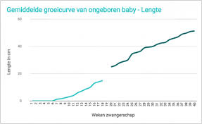 Gemiddelde Lengte En Gewicht Van Baby Tijdens Zwangerschap Babyblog