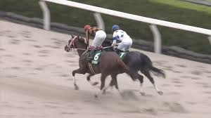高月彩良, 有村架純, 松嶋菜々子 and others. å¹³å®‰ã‚¹ãƒ†ãƒ¼ã‚¯ã‚¹2020 å‡ºèµ°äºˆå®šé¦¬ äºˆæƒ³ã‚ªãƒƒã‚º é¨Žæ‰‹ å®Ÿç¸¾é¦¬vsæ–°æ˜Ÿ